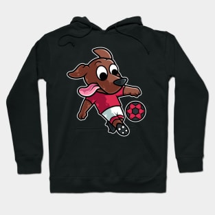 Dog Football Game Day Funny Team Sports Soccer graphic Hoodie